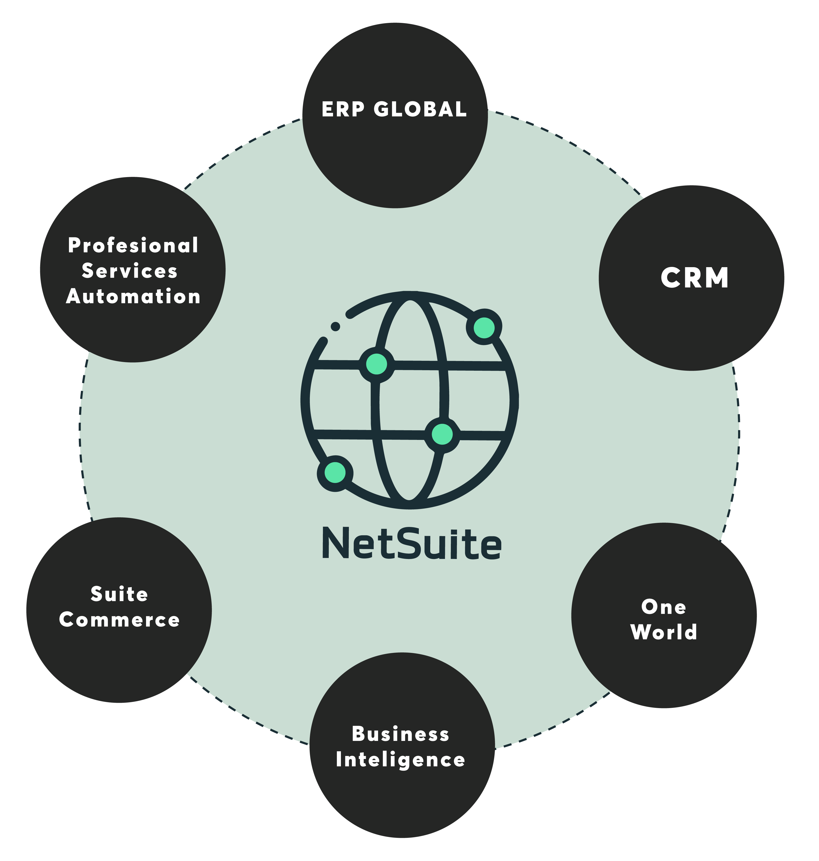 CONSULTORÍA FUNCIONAL NETSUITE